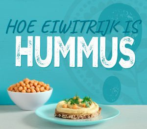 Hummus Eiwitten Florentin Bio