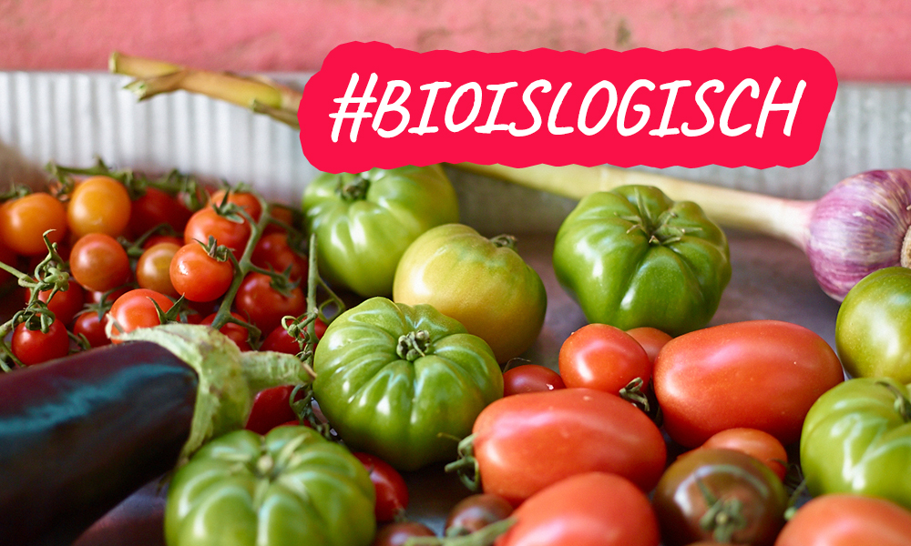 Florentin: Bio Is Logisch
